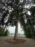 熊野神社(宮崎県)