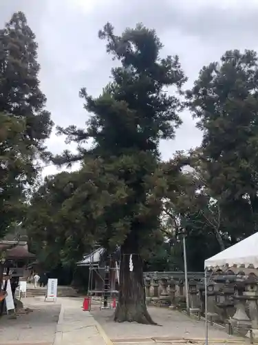 石清水八幡宮の自然