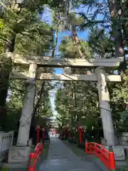 馬橋稲荷神社(東京都)