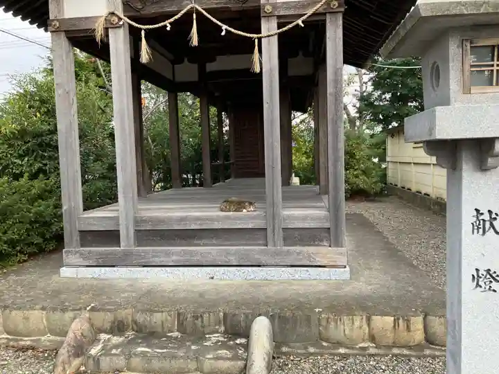 小池神社(愛知県)