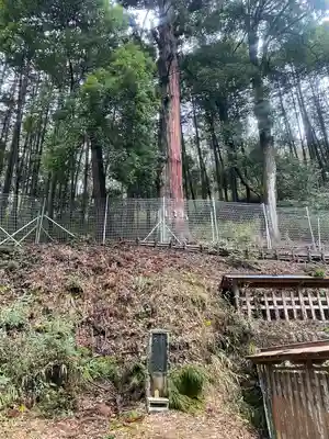 武田八幡宮(山梨県)