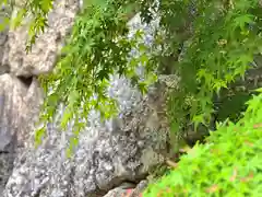 眞田神社の自然