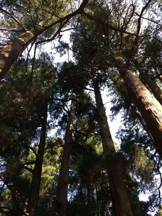 高千穂神社(宮崎県)