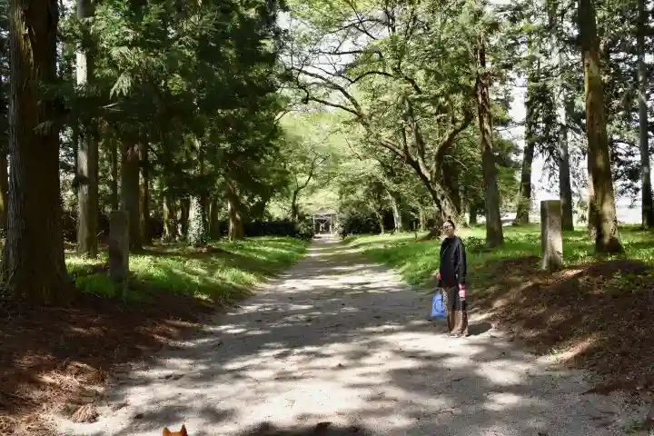 那須神社の{uncategorized: "未分類", other: "その他", undefined: "問題あり", building: "その他建物", grave: "お墓", sacred_gate: "鳥居", guardian: "狛犬", statue: "像", buddha: "仏像", history: "歴史", nature: "自然", garden: "庭園", animal: "動物", pagoda: "塔", temizu: "手水舎", mountain_gate: "山門・神門", sanctuary: "本殿・本堂", subordinate: "末社・摂社", art: "芸術", scenery: "景色", jizo: "地蔵", ema: "絵馬", goshuin: "御朱印", omikuji: "おみくじ", items: "授与品その他", amulet: "お守り", goshuincho: "御朱印帳", eats: "食事", festival: "お祭り", votive_dance: "神楽", shichigosan: "七五三参", wedding: "結婚式", experience: "体験その他", initially: "初詣", around: "周辺", anti_infection: "感染症対策"}