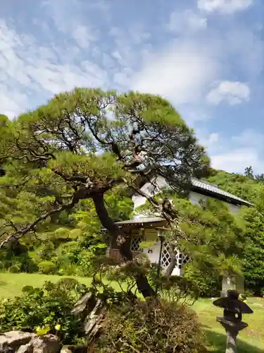 能仁寺の庭園