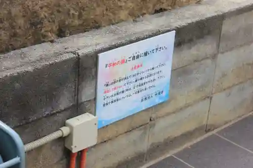 妙栄寺の{uncategorized: "未分類", other: "その他", undefined: "問題あり", building: "その他建物", grave: "お墓", sacred_gate: "鳥居", guardian: "狛犬", statue: "像", buddha: "仏像", history: "歴史", nature: "自然", garden: "庭園", animal: "動物", pagoda: "塔", temizu: "手水舎", mountain_gate: "山門・神門", sanctuary: "本殿・本堂", subordinate: "末社・摂社", art: "芸術", scenery: "景色", jizo: "地蔵", ema: "絵馬", goshuin: "御朱印", omikuji: "おみくじ", items: "授与品その他", amulet: "お守り", goshuincho: "御朱印帳", eats: "食事", festival: "お祭り", votive_dance: "神楽", shichigosan: "七五三参", wedding: "結婚式", experience: "体験その他", initially: "初詣", around: "周辺", anti_infection: "感染症対策"}