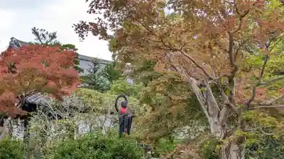  智積院(京都府)