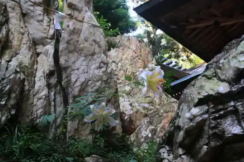 鹿島大神宮の自然