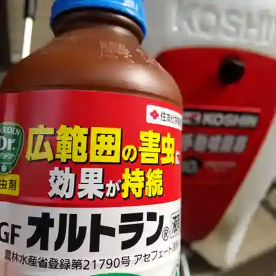 七重浜海津見神社(北海道)