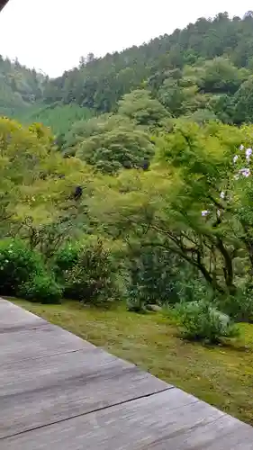 高山寺の庭園