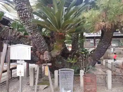 御香宮神社(京都府)