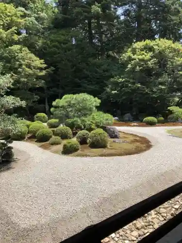 曼殊院門跡の庭園