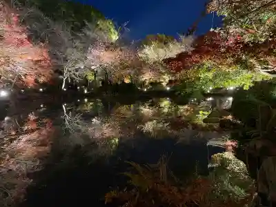 東寺（教王護国寺）(京都府)
