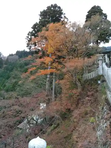 大山阿夫利神社(神奈川県)