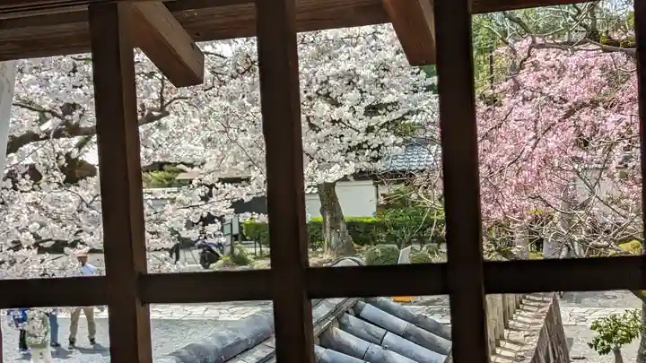 妙顯寺(妙顕寺)(京都府)