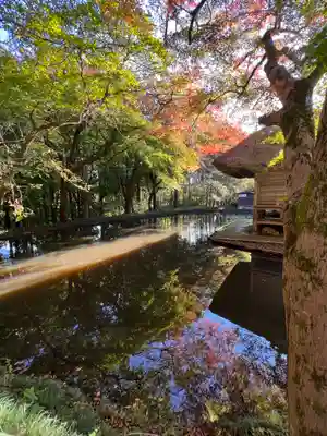 中尊寺(岩手県)