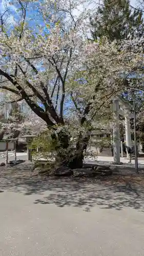 住吉神社(北海道)