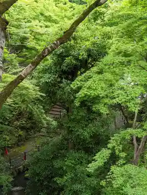 清水寺(京都府)