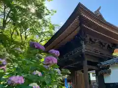 普門寺(切り絵御朱印発祥の寺)の山門