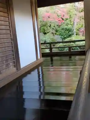 崇禅寺(群馬県)