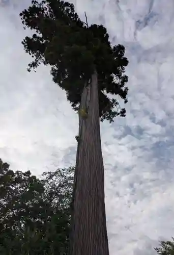 鶴峯八幡宮(千葉県)