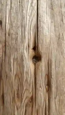 東大寺のその他建物