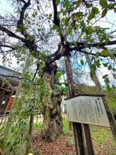 愛蔵寺(福島県)