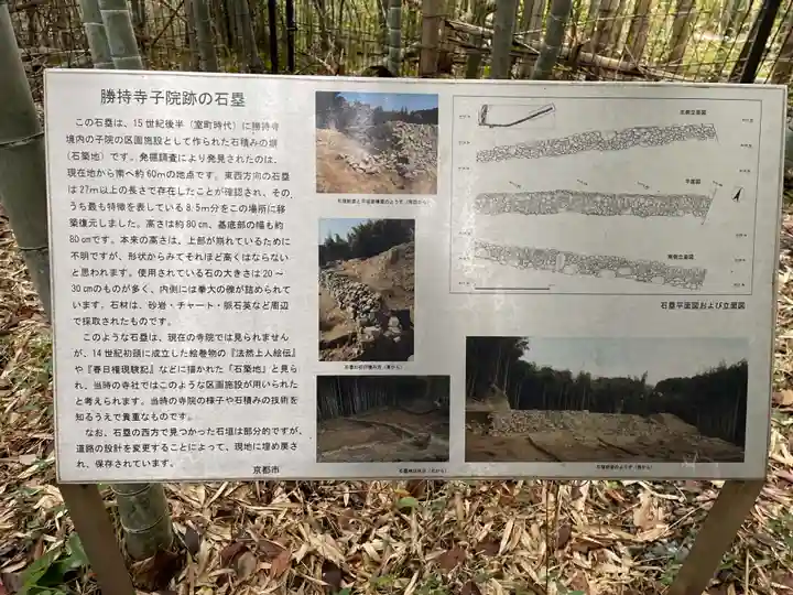 勝持寺(花の寺)(京都府)