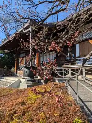 福蔵院(東京都)