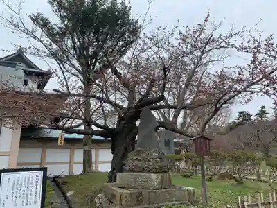 松前神社(北海道)
