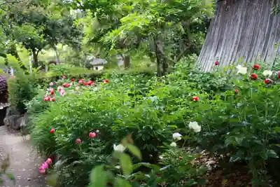 石光寺(奈良県)