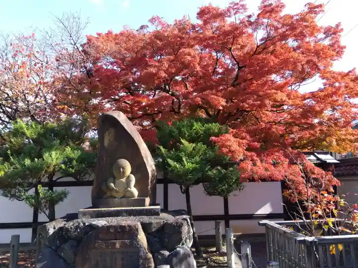 宝鏡寺(京都府)