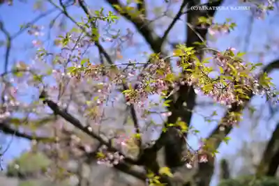 密藏院(埼玉県)