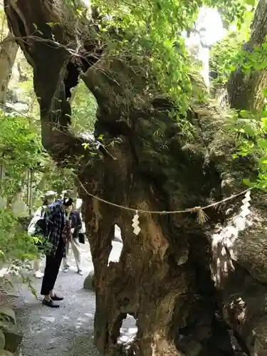 來宮神社の建物その他