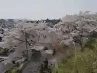 千手院の景色
