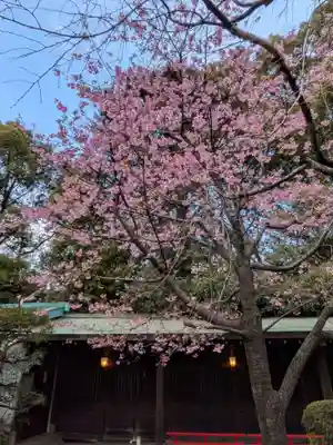 代々木八幡宮(東京都)
