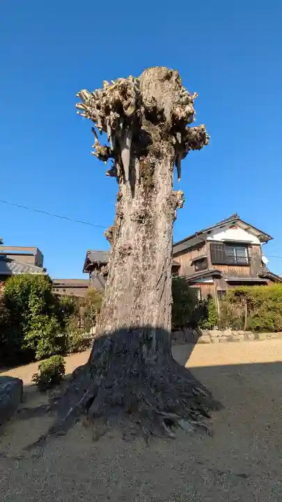 巖島神社(滋賀県)