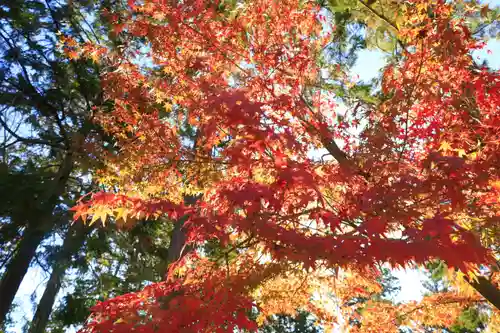 唐招提寺(奈良県)