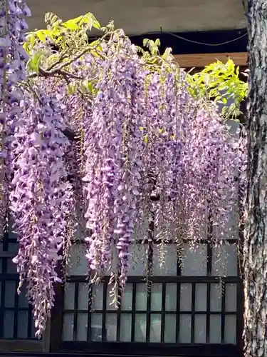 六孫王神社(京都府)