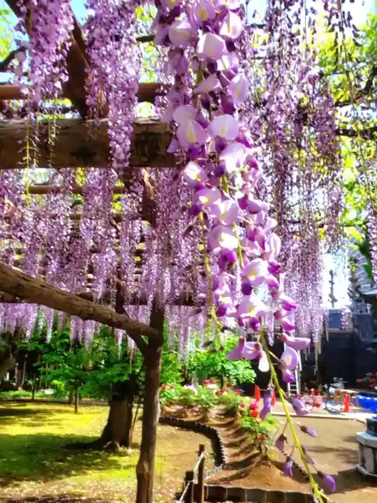 愛染院(東京都)