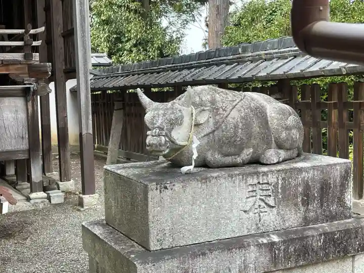 菅原神社の{uncategorized: "未分類", other: "その他", undefined: "問題あり", building: "その他建物", grave: "お墓", sacred_gate: "鳥居", guardian: "狛犬", statue: "像", buddha: "仏像", history: "歴史", nature: "自然", garden: "庭園", animal: "動物", pagoda: "塔", temizu: "手水舎", mountain_gate: "山門・神門", sanctuary: "本殿・本堂", subordinate: "末社・摂社", art: "芸術", scenery: "景色", jizo: "地蔵", ema: "絵馬", goshuin: "御朱印", omikuji: "おみくじ", items: "授与品その他", amulet: "お守り", goshuincho: "御朱印帳", eats: "食事", festival: "お祭り", votive_dance: "神楽", shichigosan: "七五三参", wedding: "結婚式", experience: "体験その他", initially: "初詣", around: "周辺", anti_infection: "感染症対策"}