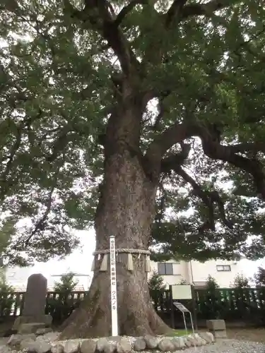 金鑚神社の庭園