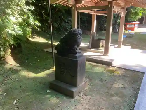 富岡八幡宮の狛犬