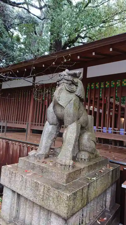 乃木神社の狛犬