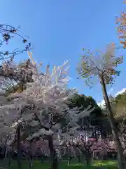 北海道神宮の庭園