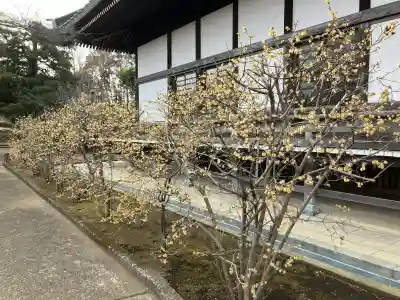 本興寺の{uncategorized: "未分類", other: "その他", undefined: "問題あり", building: "その他建物", grave: "お墓", sacred_gate: "鳥居", guardian: "狛犬", statue: "像", buddha: "仏像", history: "歴史", nature: "自然", garden: "庭園", animal: "動物", pagoda: "塔", temizu: "手水舎", mountain_gate: "山門・神門", sanctuary: "本殿・本堂", subordinate: "末社・摂社", art: "芸術", scenery: "景色", jizo: "地蔵", ema: "絵馬", goshuin: "御朱印", omikuji: "おみくじ", items: "授与品その他", amulet: "お守り", goshuincho: "御朱印帳", eats: "食事", festival: "お祭り", votive_dance: "神楽", shichigosan: "七五三参", wedding: "結婚式", experience: "体験その他", initially: "初詣", around: "周辺", anti_infection: "感染症対策"}