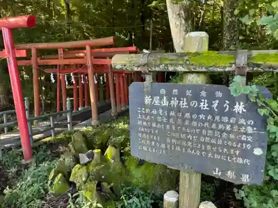 新屋山神社(山梨県)