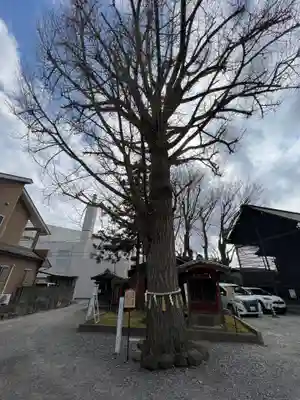 取手八坂神社(茨城県)