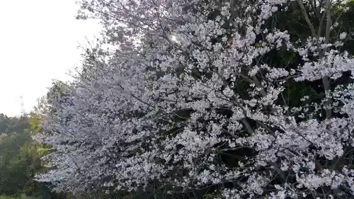 岩椿神社の自然