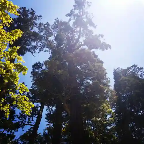 鹿島神宮の自然